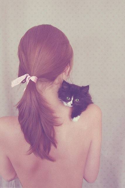 清新甜美的女生怀抱着猫咪的唯美图片