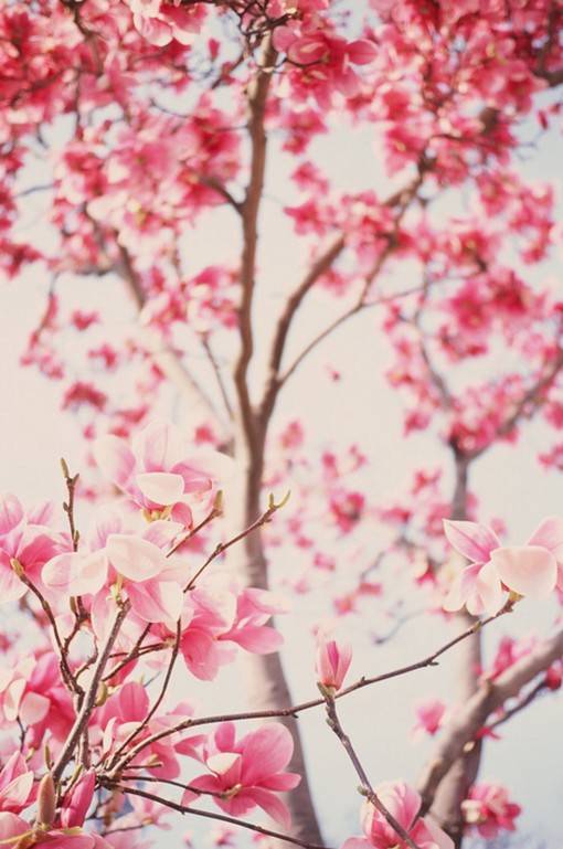 文艺青年必备的9张手机壁纸素材图片