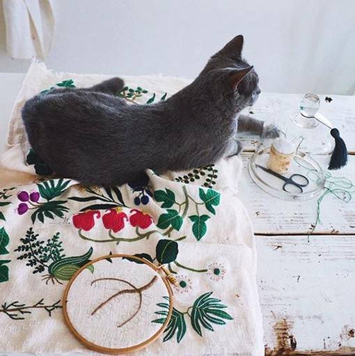 刺绣艺术家YUMIKOHIGUCHI的小清新风格花草刺绣