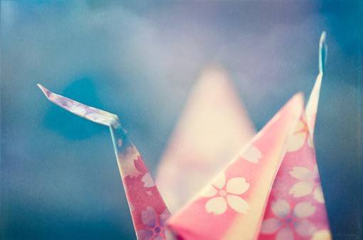 正能量日系美图