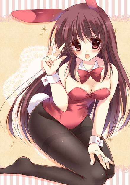 二次元兔女郎美少女美图赏二（4）