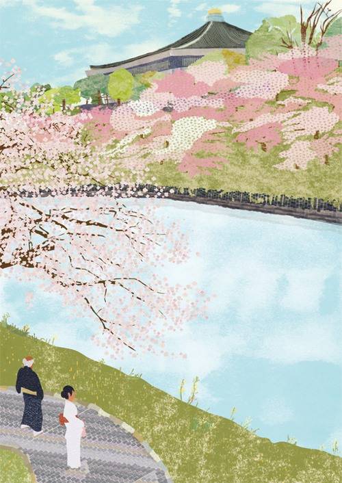 illustration插画作品