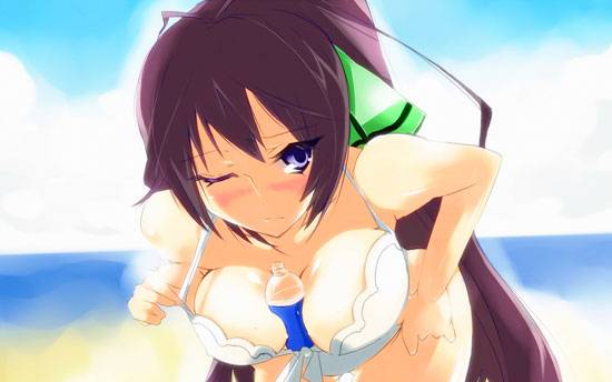 《Infinite Stratos》篠之之箒美图片写真集大全(4)