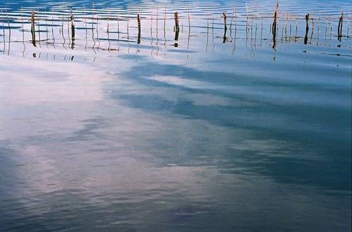 城市映象,春城昆明图片