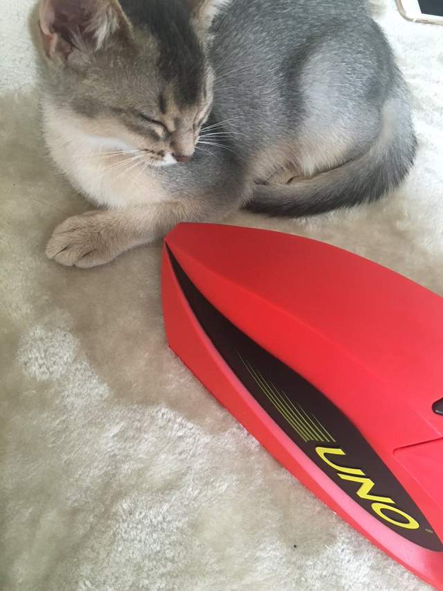 演唱会送声优礼物就要选《UNO卡片游戏》粉丝感动爽翻天…… - 图片11