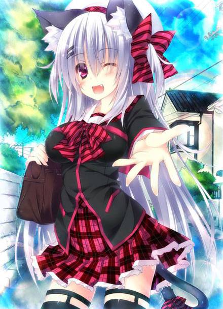 二次元兽耳美少女第八弹（12）