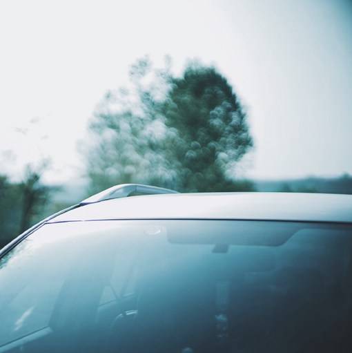 沁人心脾的清新系唯美胶片摄影美图