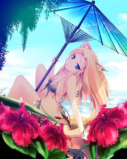 二次元兽耳美少女第十一弹（6）