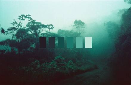 大自然告诉你哪些是舒服的配色方案