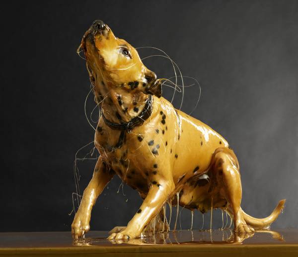 蜂蜜人体：当人体艺术遇到了美味蜂蜜