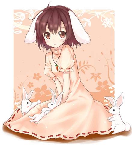 妖怪兔因幡帝图集(9)