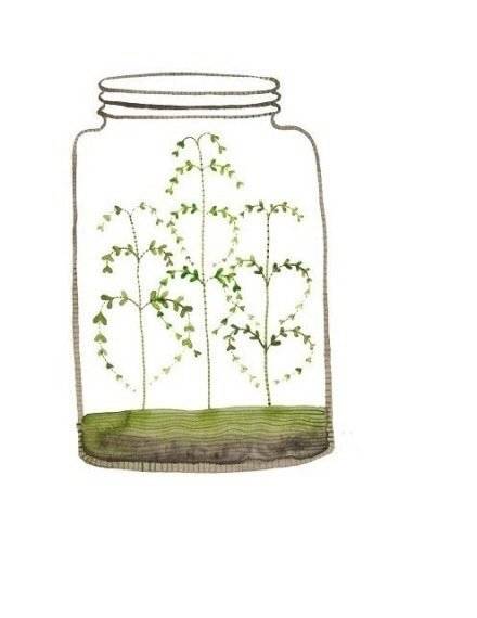 玻璃瓶子插画图片