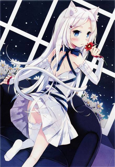 二次元兽耳美少女第三弹（2）