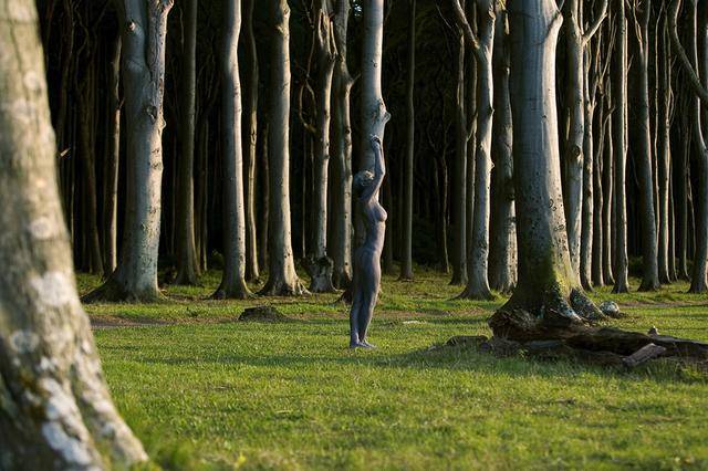 隐藏的彩绘少女：令人震惊的伪装人体艺术[24P]