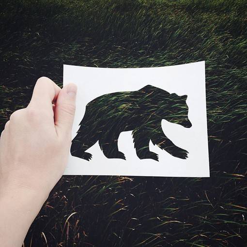 大自然的创意动物剪纸设计