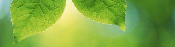 醒脑文章：当我们在谈恋爱时，我们在谈什么？