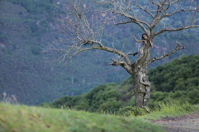 隐藏的彩绘少女：令人震惊的伪装人体艺术[24P]