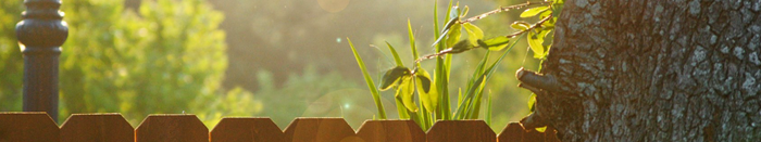 醒脑文章：很多人，被这句话害了一辈子 