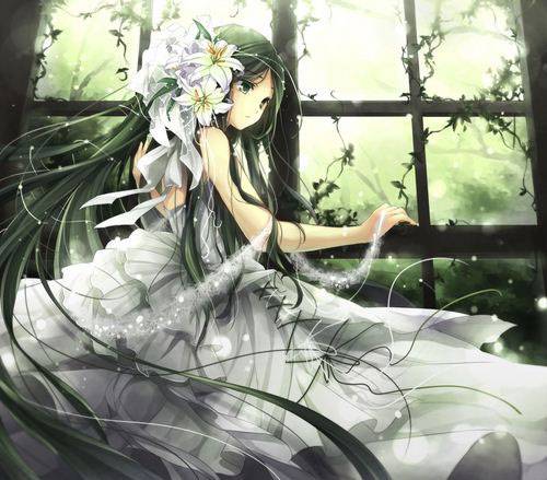 二次元黑白服美少女美图合集(13)