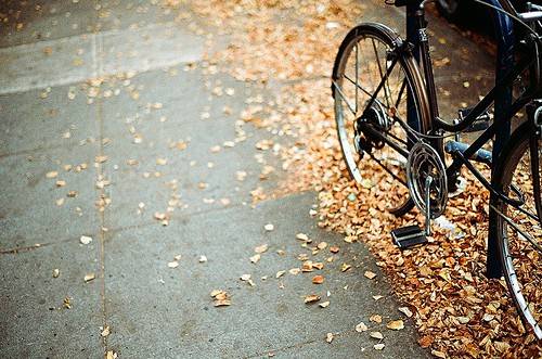 很阳光很治愈系的小清新场景唯美图片