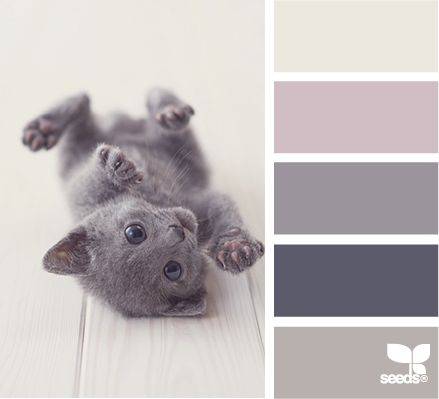 让人很舒服的柔和的灰色系配色方案推荐