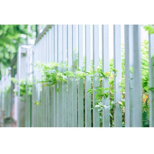 小清新风格的日系lomo风光摄影