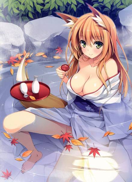 二次元兽耳美少女第一弹(7)