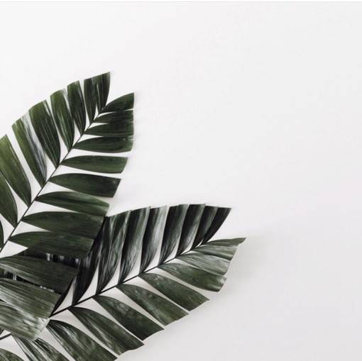 关于生活小杂物的白色调治愈系唯美图片