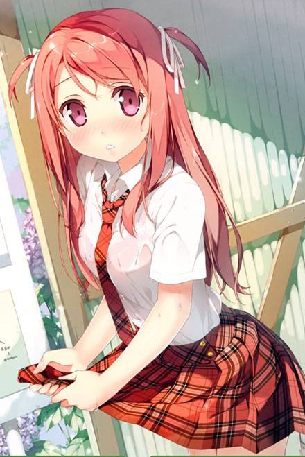 二次元格子裙美少女美图赏（9）