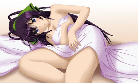 《Infinite Stratos》篠之之箒美图片写真集大全(11)