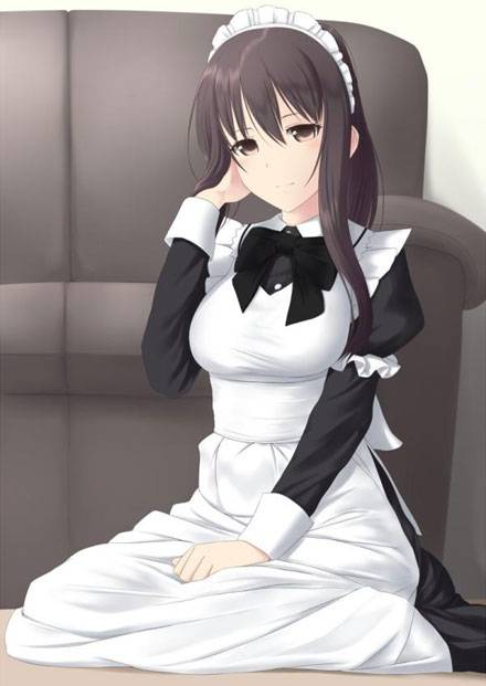 最新二次元女仆萌妹子美图集2(3)