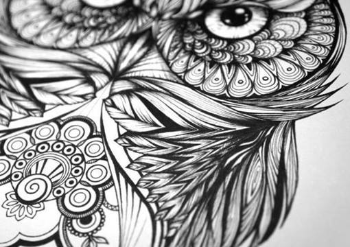 插画师Greg Coulton的手绘猫头鹰唯美单色插画图片