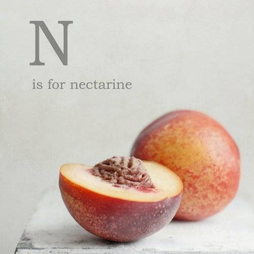 水果和英文字母