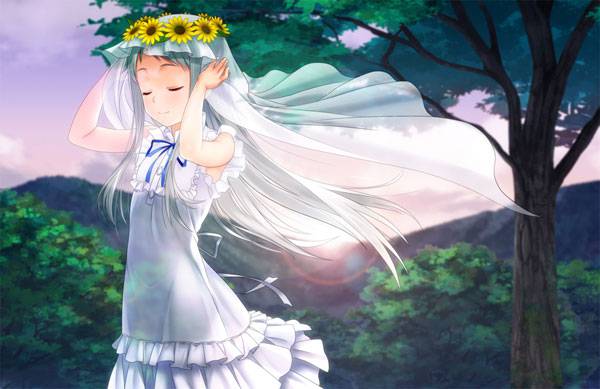 银发美少女本间芽衣子治愈系图片大全二（13）