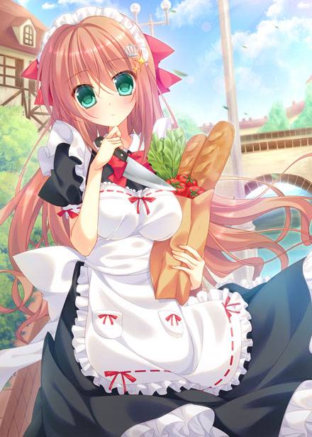 二次元女仆装美少女图集（4）