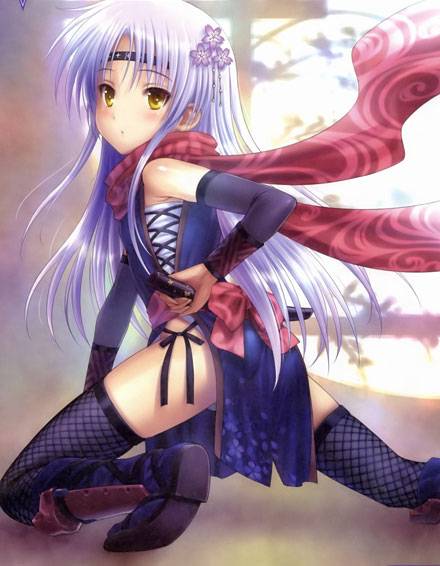 精选动漫女忍福利图集二（4）