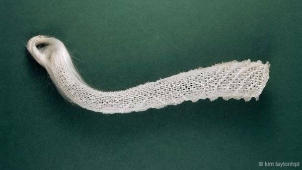 世界十大透明生物