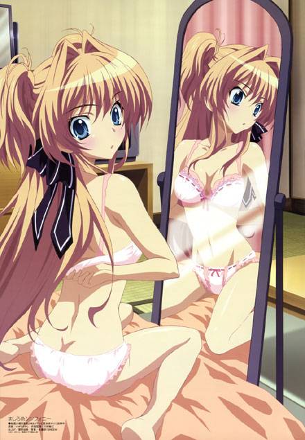 二次元内衣美少女图集(15)