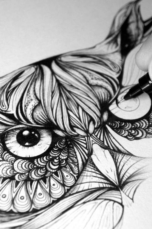 插画师Greg Coulton的手绘猫头鹰唯美单色插画图片