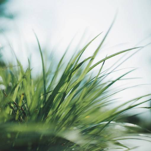 沁人心脾的清新系唯美胶片摄影美图