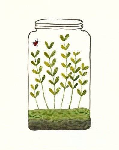 玻璃瓶子插画图片