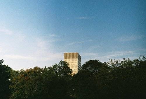 安静的小清新图片