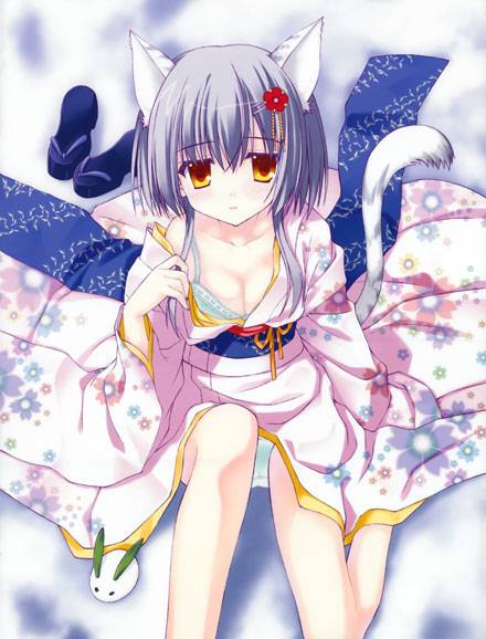 二次元兽耳美少女第十弹（8）