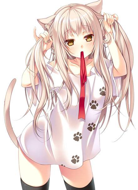 二次元果体衬衫美少女诱人图集二（11）