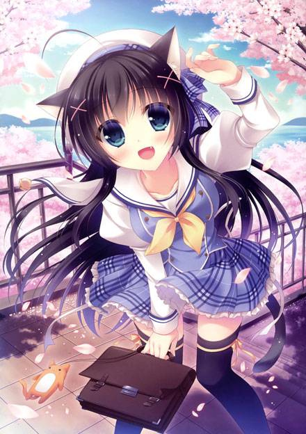 二次元猫耳娘美图赏析（13）