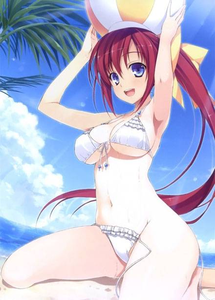 二次元爆乳泳装少女第一弹(6)