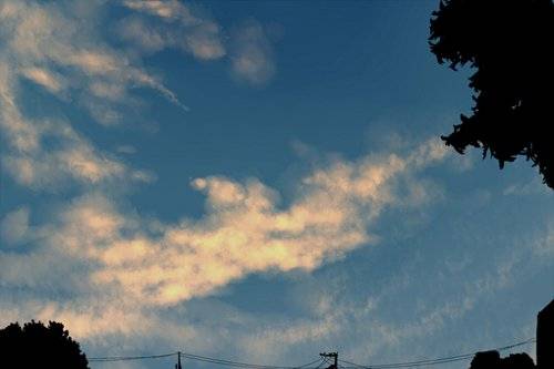 p站唯美场景插画