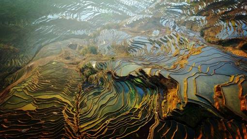 拍摄自红河县的梯田群航拍摄影美作