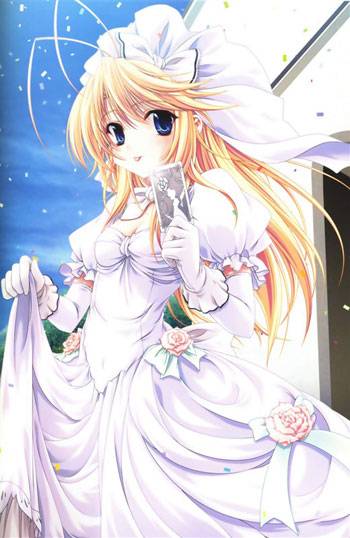 动漫婚纱少女图集（15）