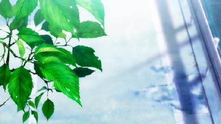 唯美微信背景图-25